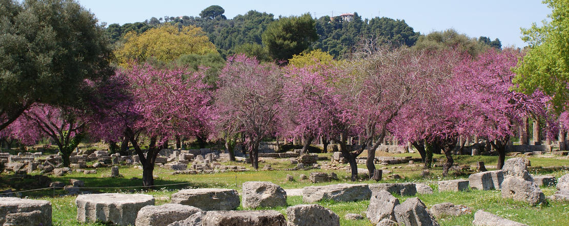 Ancient Olympia